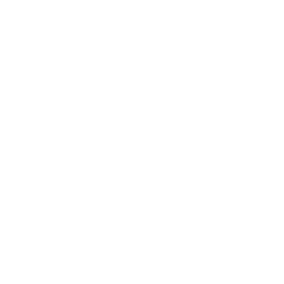Academia Bauset